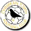 Cwmbran Town