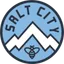 Picture for Salt City