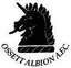 Ossett Albion A.F.C.