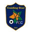 Guiding Star(w)