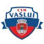 CSM Vaslui