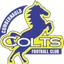 Logo for Cumbernauld Colts