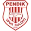Logo of Pendikspor U19