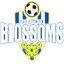 Logo of San Antonio Blossoms (w)