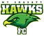 Logo of Mount Gravatt Hawks