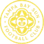 Logo of Tampa Bay Sun (W)