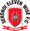 Logo of Eleven Wise
