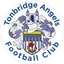 Logo of Tonbridge Angels