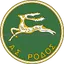 Logo of Rodos FC
