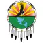 Logo of Peerless SC
