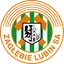 Logo of Zaglebie Lubin (Youth)