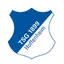 Logo of Hoffenheim U17