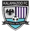 Logo for Kalamazoo