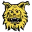 Ilves Tampere II