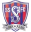 Logo of Swindon Supermarine