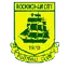 Logo of Rockingham City FC U20