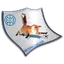 FK Gorno Lisice