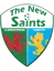 Logo of The New Saints U19