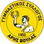 Logo of Aris Voulas FC