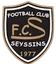 FC Seyssins