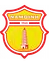 Logo of Nam Dinh FC