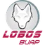 Logo of Lobos Puebla