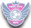 Logo of Troy City WFC (W)