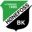 Logo of Honefoss (w)