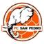 Logo of San Pedro FC