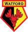 Picture for Watford U21