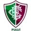 Fluminense PI (Youth)