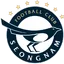 Logo of Seongnam FC