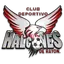 Logo of CD Halcones de Rayon