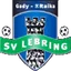 Picture for SV Lebring