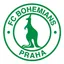 Bohemians Praha