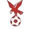Whitehawk