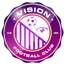 Logo of Vision FC