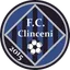 Picture for Academica Clinceni