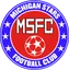 Michigan Stars