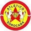 Logo of Linense(BRA)