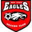 Logo of New Town Eagles