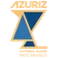 Logo of Azuriz FC