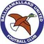 Logo of Ballinamallard United