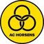 Horsens U17