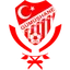 Gumushanespor
