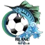 Logo of Dublanc FC