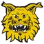 Ilves U20