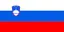Slovenia Indoor Soccer
