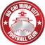 Logo of CLB TPHCM U19