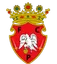 Logo of FC Penafiel U17